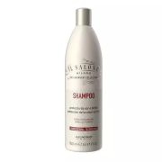 Shampoo Protección y Brillo de 500ml