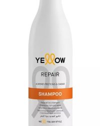 Repair REPARATIVE SHAMPOO